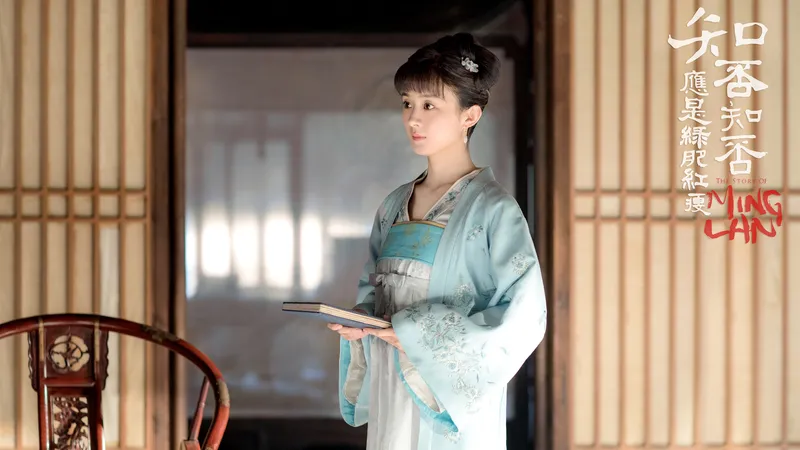 赵丽颖-知否知否应是绿肥红瘦剧照