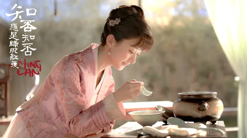 赵丽颖-知否知否应是绿肥红瘦剧照