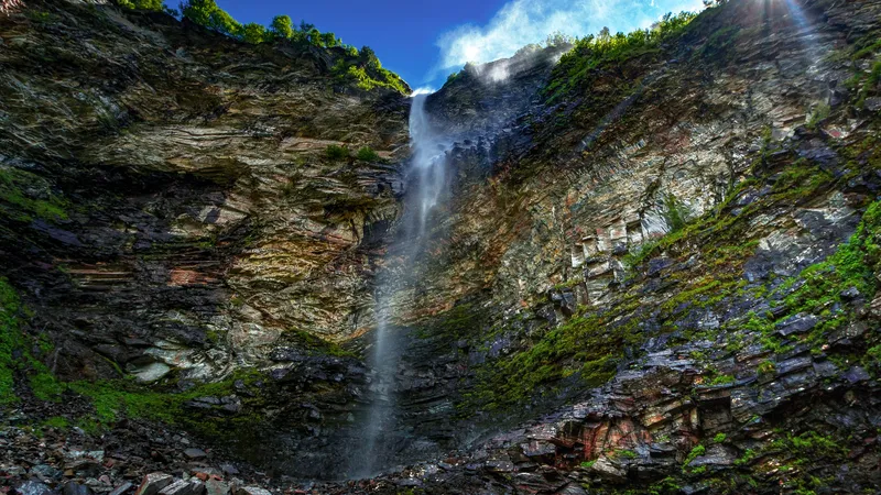森林的高山大瀑布