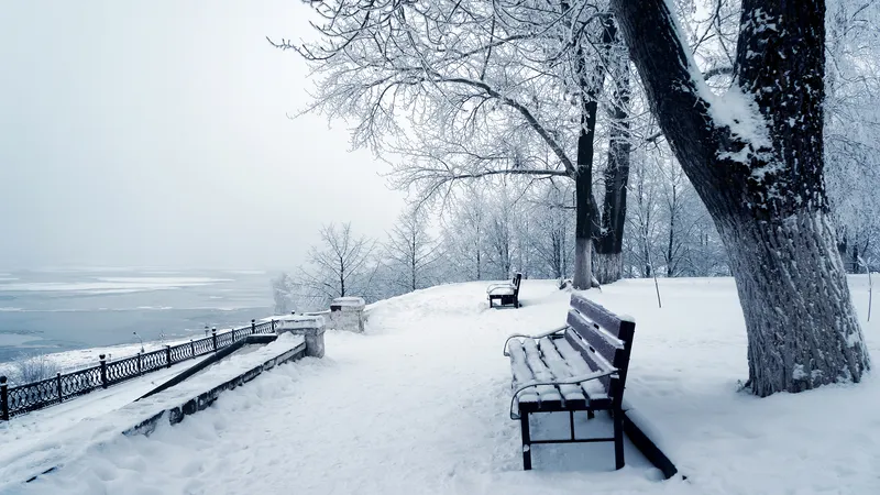 高坡雪地上的板凳
