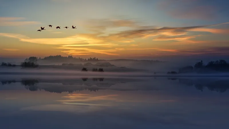 日落时鸟飞过雪景湖
