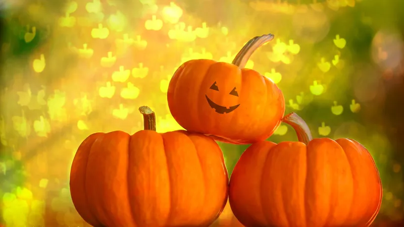 万圣节标志物南瓜灯