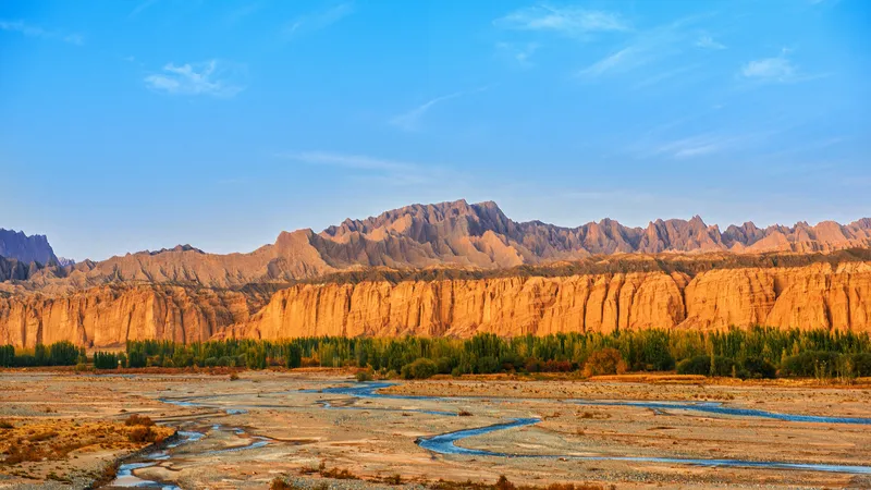 中国风景之新疆塔里木河日落