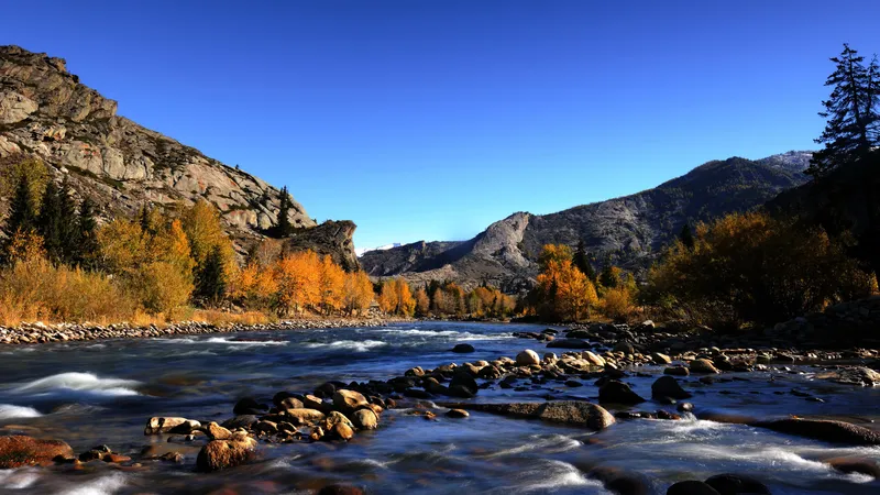 可可托海景区的河流
