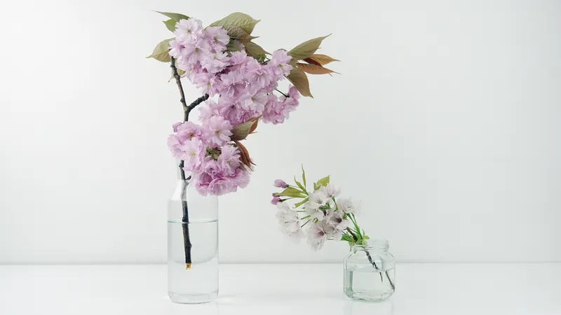 插在玻璃水瓶中的樱花