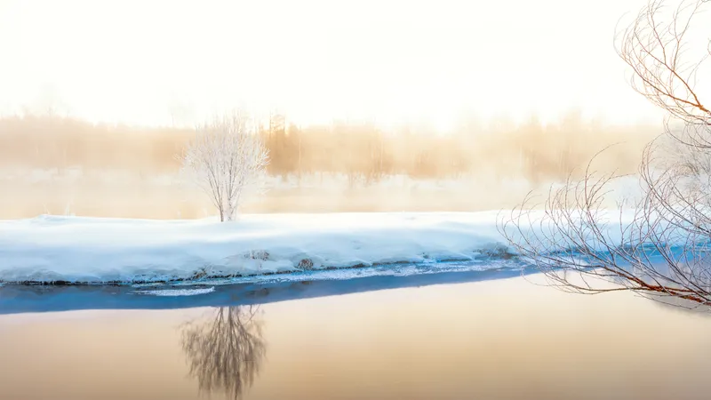 大雪后河边的雪景