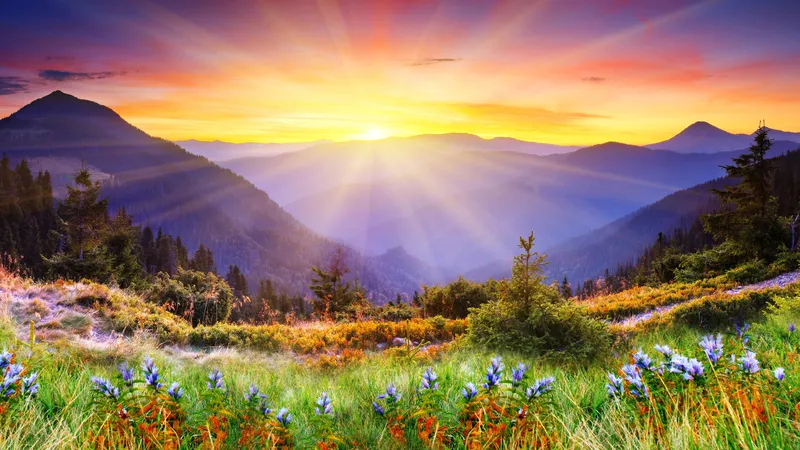 开满鲜花的美丽山谷