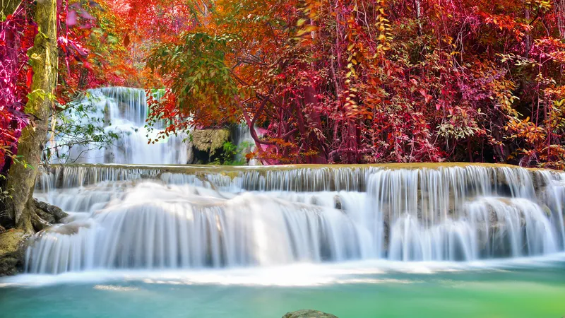 红叶树下的瀑布