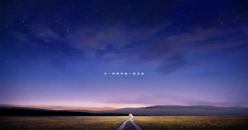 油菜花上的星空