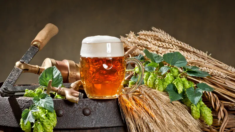 大麦和一杯啤酒