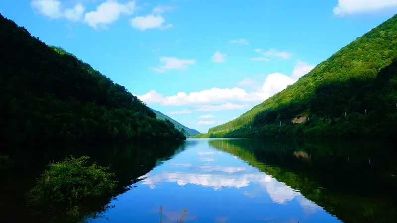 罗马尼亚 锡比乌湖 