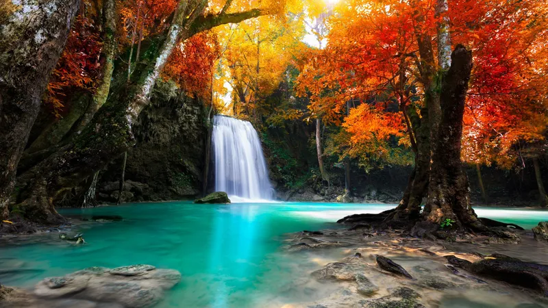 红叶数下蓝色水池上的瀑布