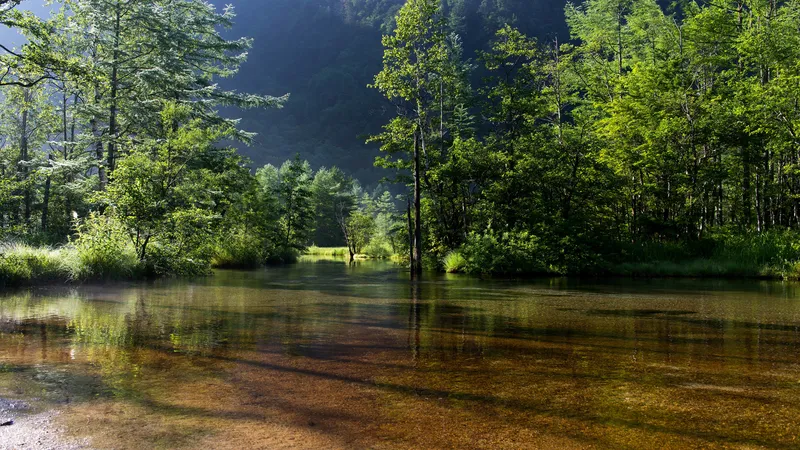 山上自然形成的小溪水平池