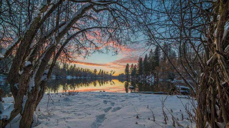 冬天河边的雪景