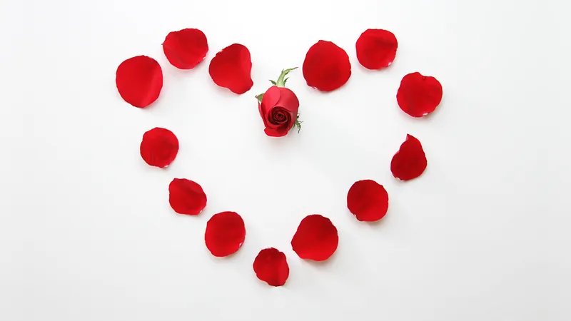 拼成爱心的玫瑰花
