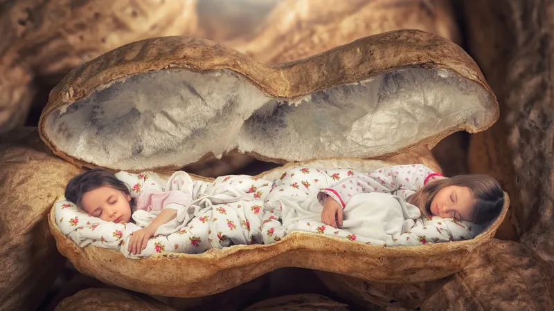 创意壁纸之双胞胎女孩睡在花生壳里