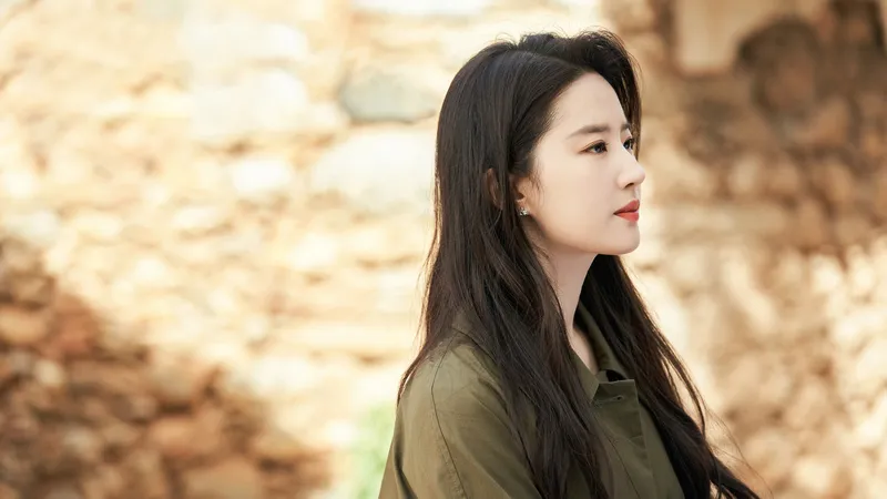 刘亦菲去有风的地方剧照