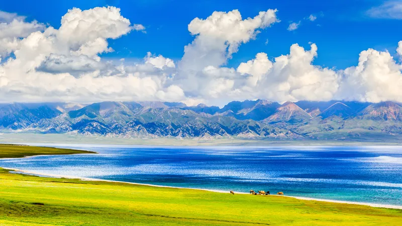 春天里的赛里木湖