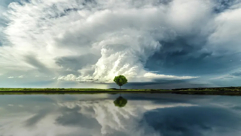白云下的一颗树和湖泊倒影