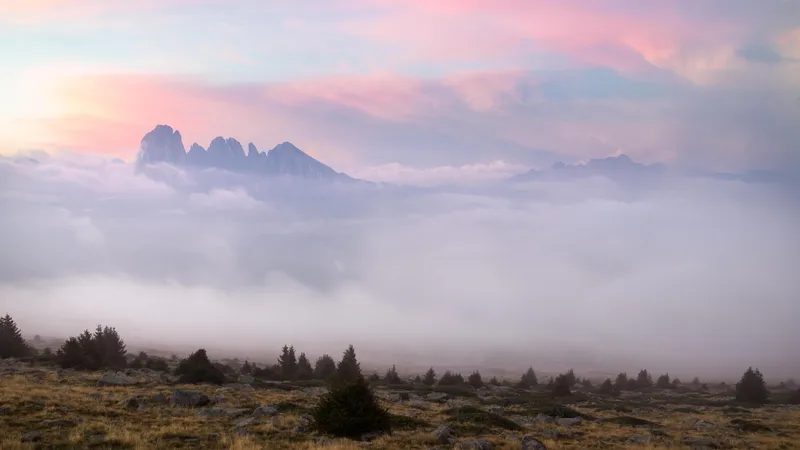 云雾缭绕的山顶上的紫色彩霞