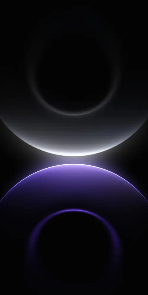 几何环