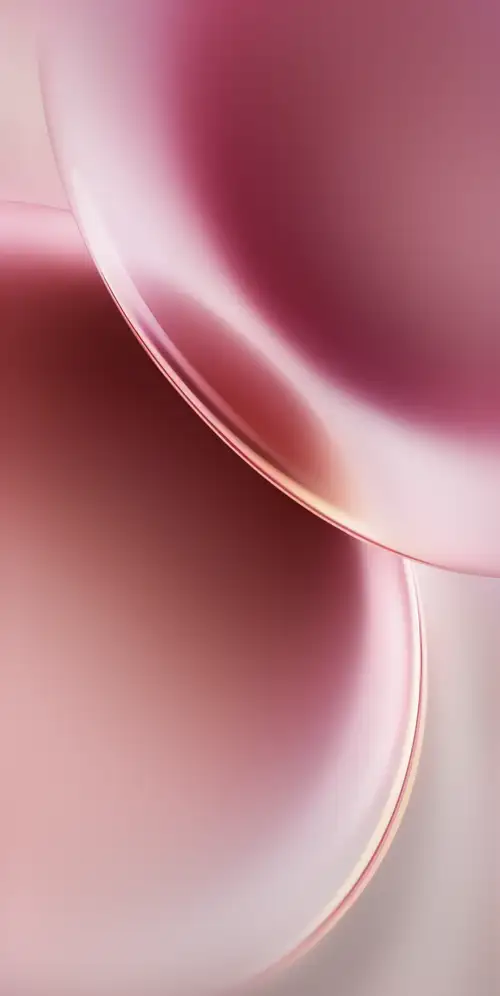 VIVOX300系统壁纸