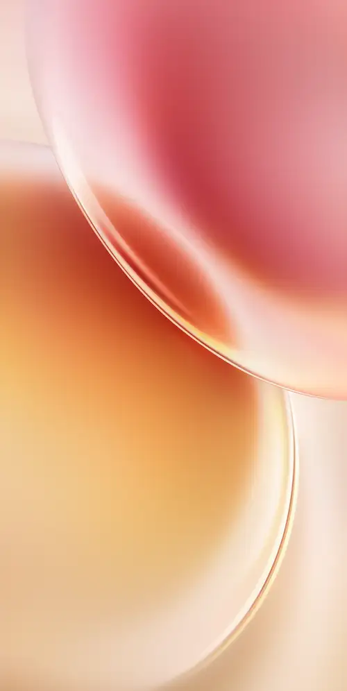 VIVOX300系统壁纸