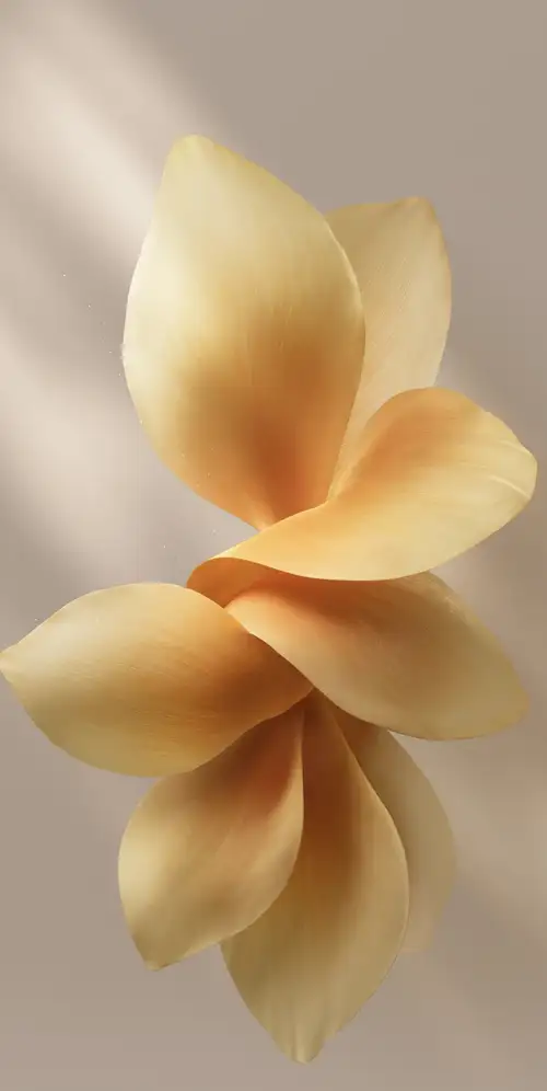 OriginOS 6系统壁纸