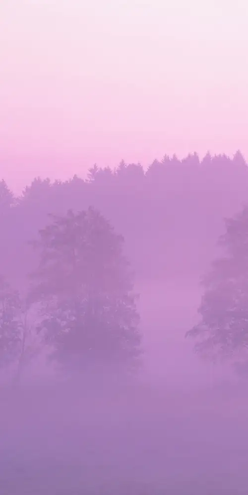 OS X狮子粉红色美学