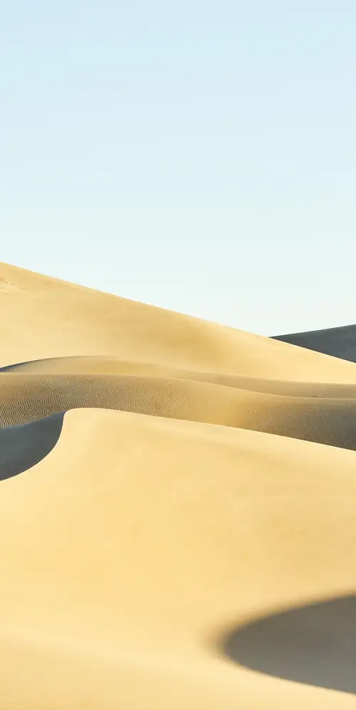 沙丘macOS Mojave