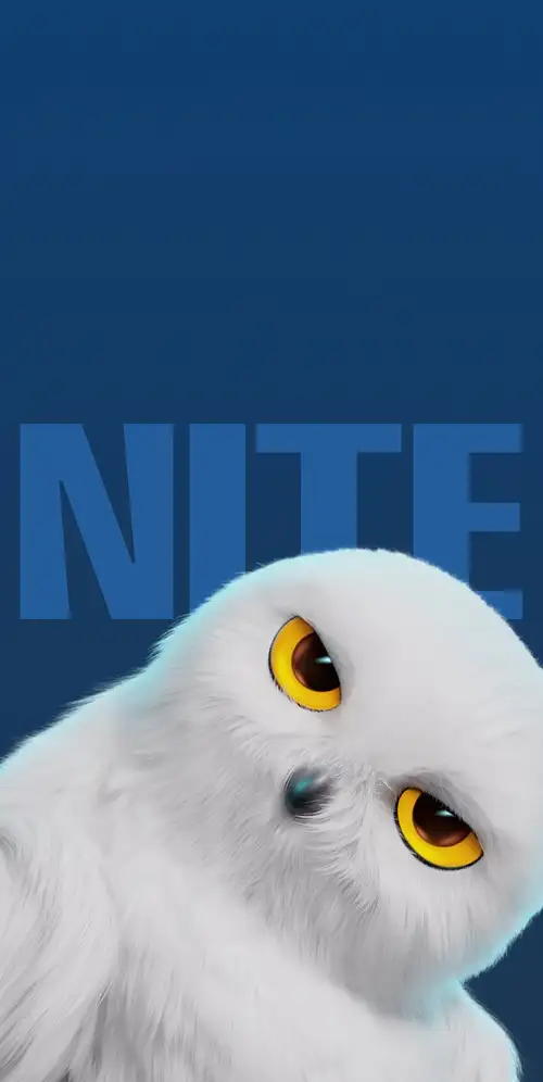 白色猫头鹰可爱的卡通