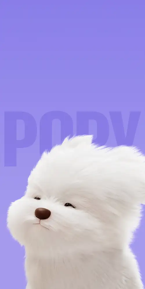 马耳他狗可爱的卡通