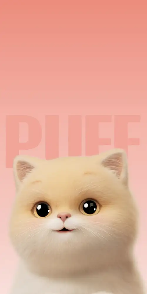 可爱的小狗小狗