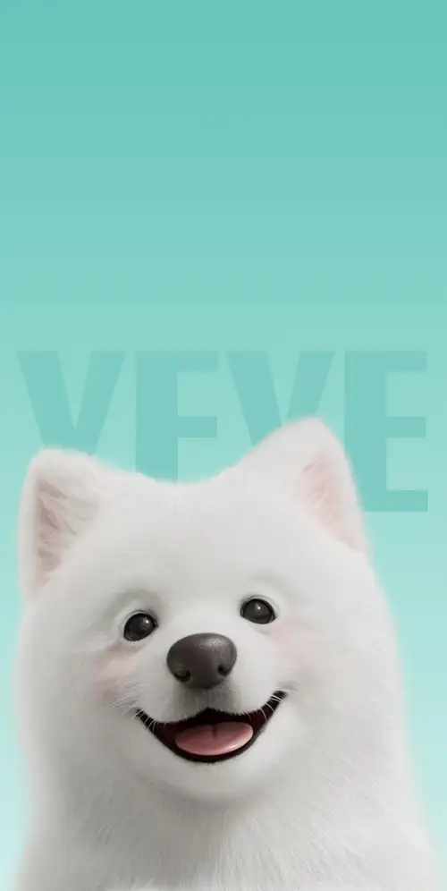 萨摩耶可爱的狗