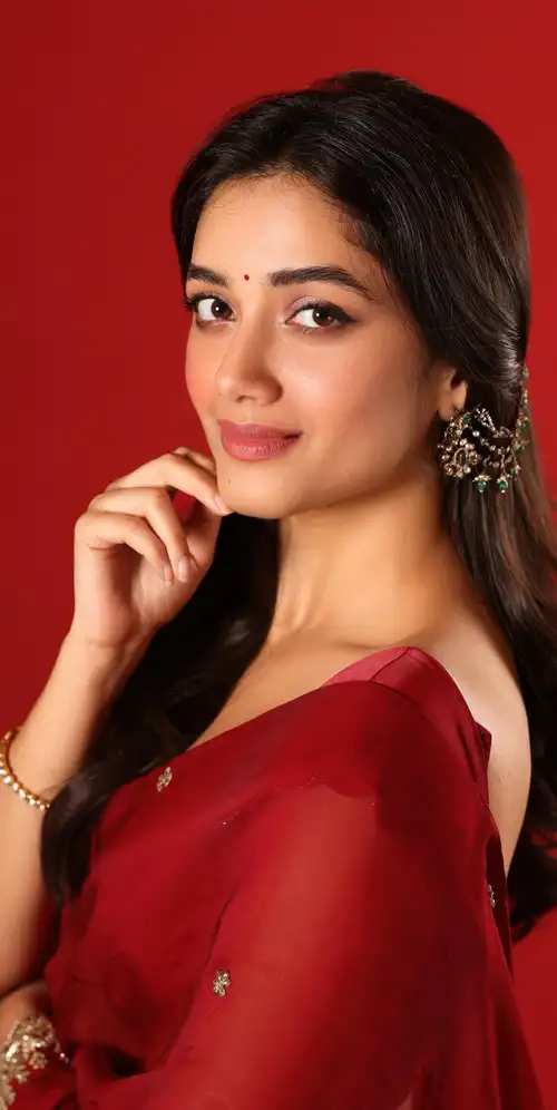 巴格雅什里·博尔塞·萨里