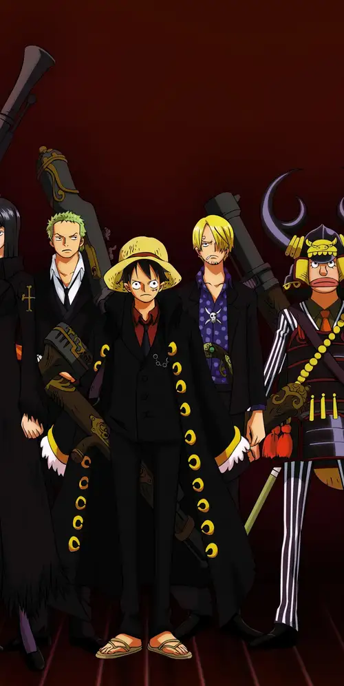 路飞'船员海贼王