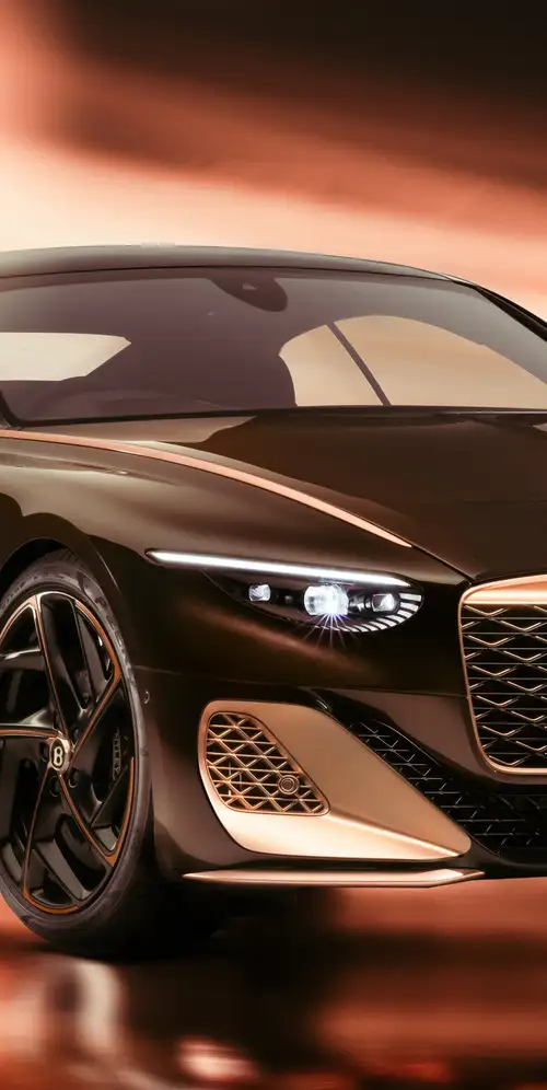 宾利巴图尔黑玫瑰2025