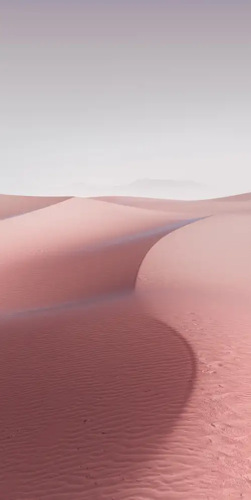 沙丘粉红色美学