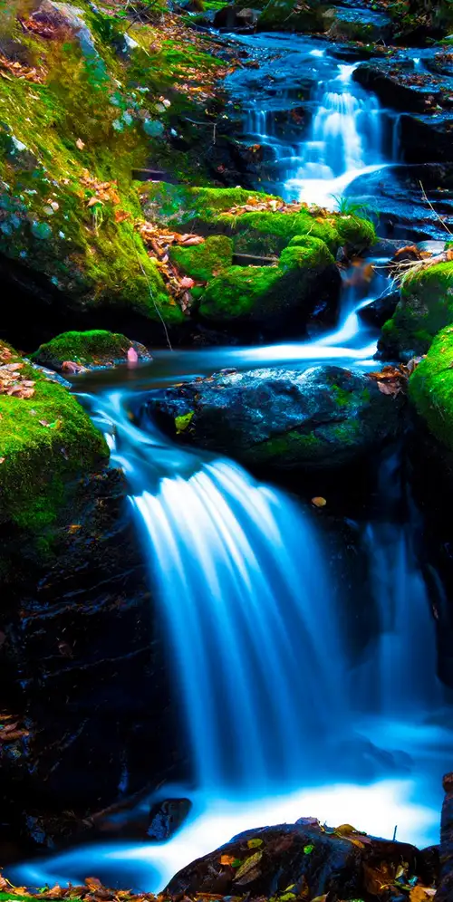 苔藓岩石绿苔藓