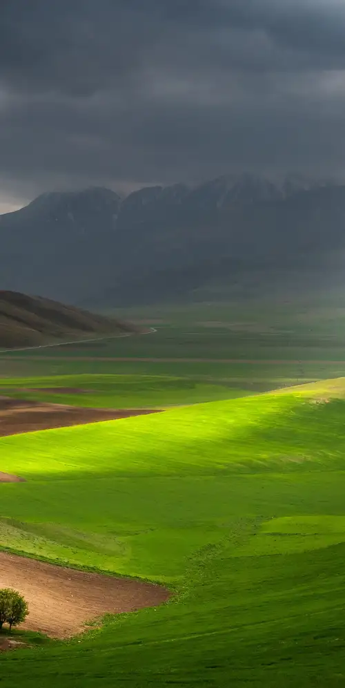 锡比利尼国家公园景观