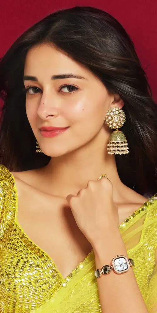 Ananya Panday Saree