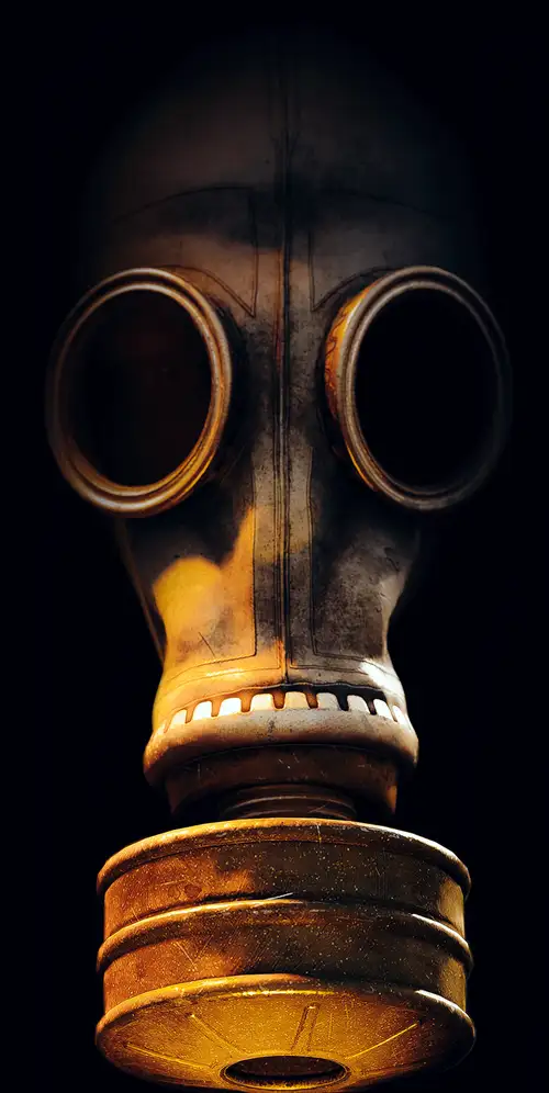 STALKER 2防毒面具