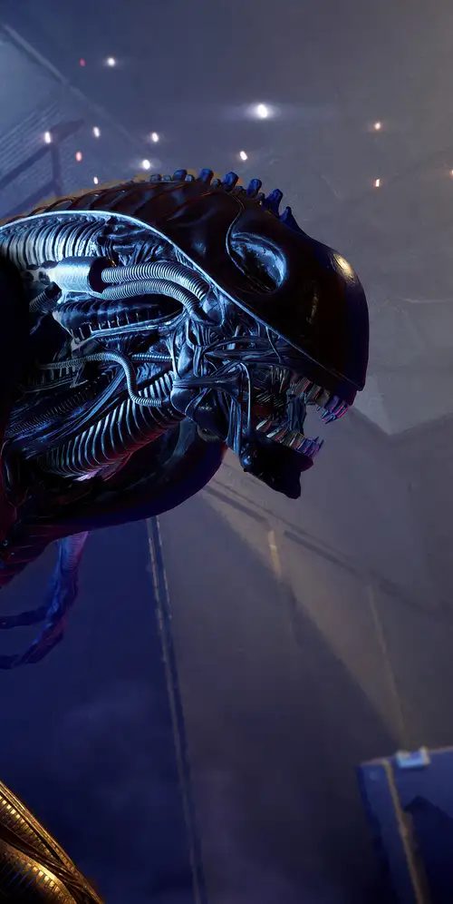 外星人：盗贼入侵