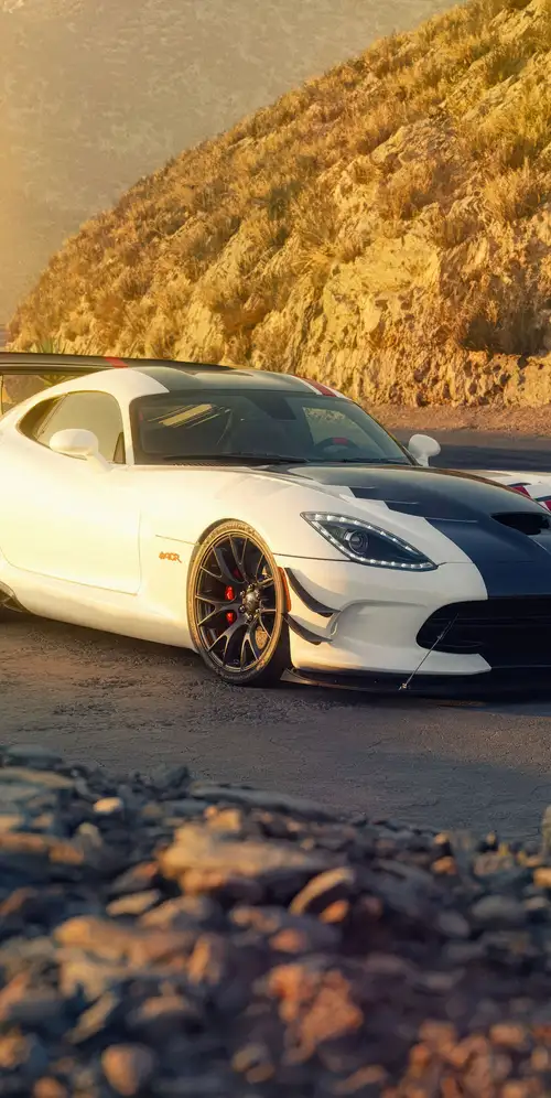 道奇Viper ACR