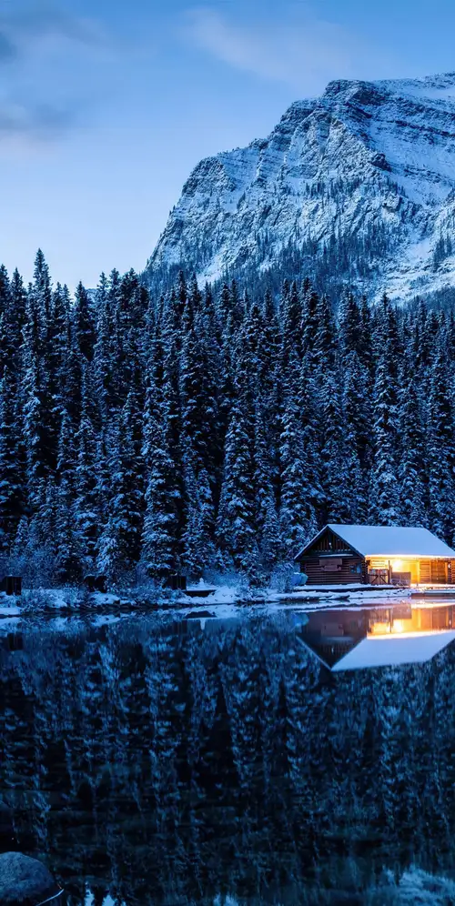 路易斯湖冬季森林