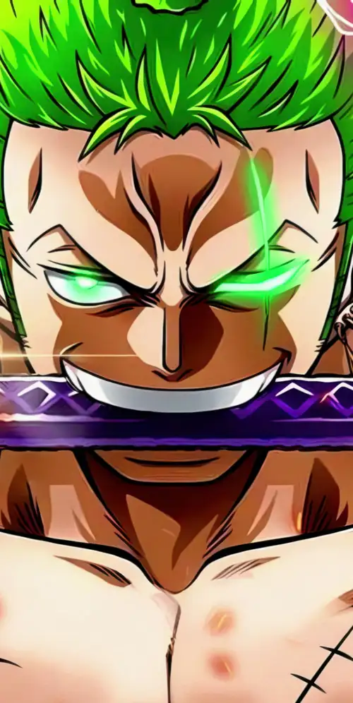 罗罗诺娜·佐罗无所畏惧