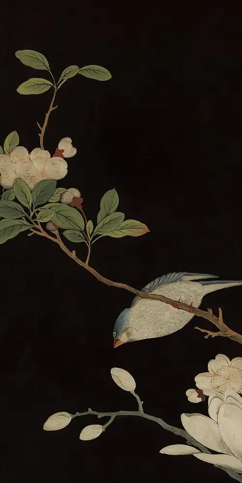 HyperOS 2系统壁纸