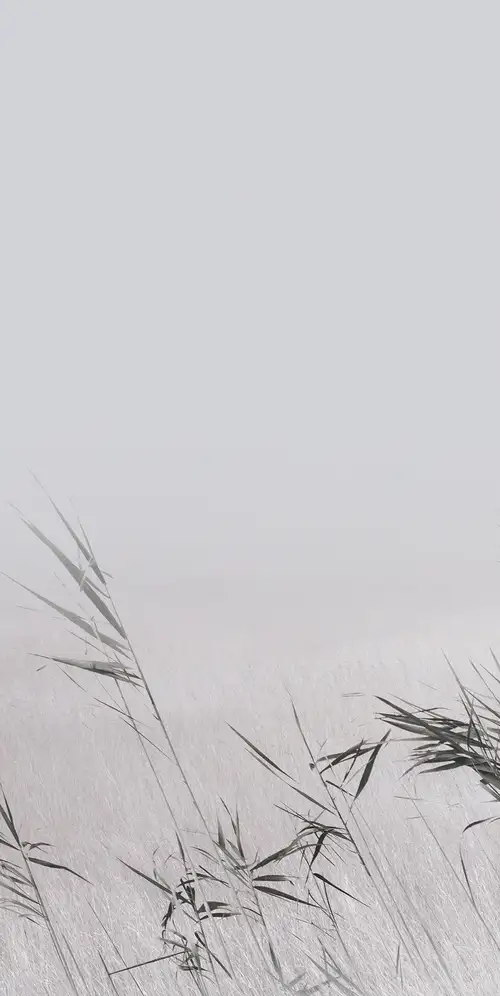 HyperOS 2系统壁纸