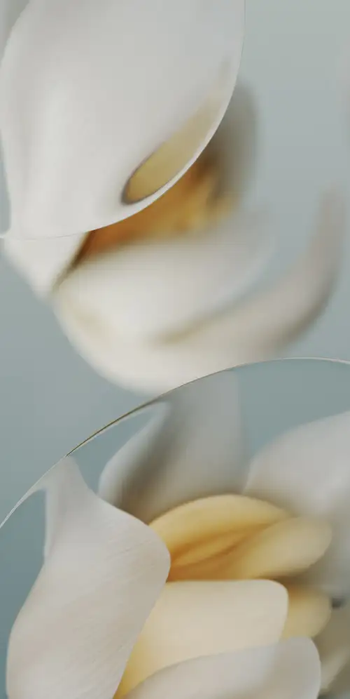 谷歌Pixel 9a美学