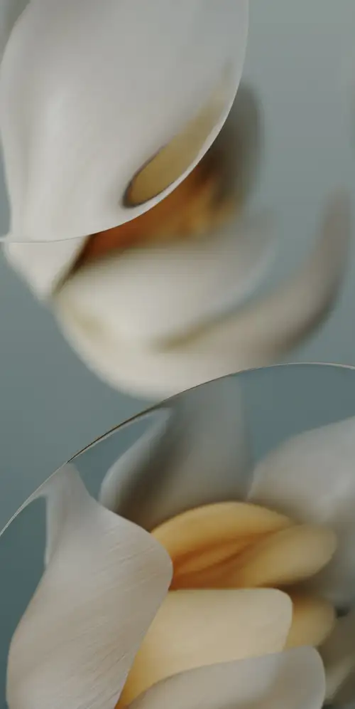 谷歌Pixel 9a系统壁纸